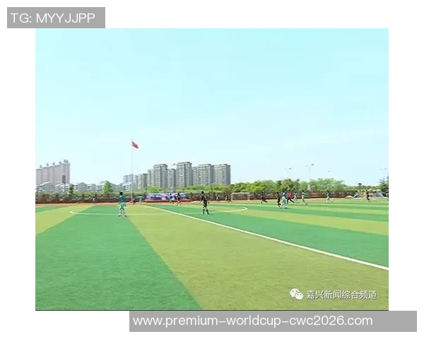 美国足球热潮兴起背后的文化氛围与未来展望